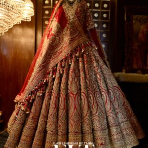 Paisley floral jaal lehenga